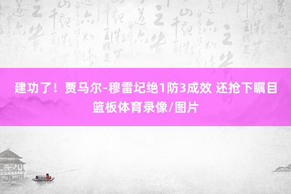 建功了！贾马尔-穆雷圮绝1防3成效 还抢下瞩目篮板体育录像/图片