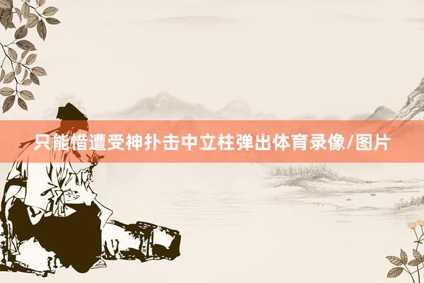 只能惜遭受神扑击中立柱弹出体育录像/图片