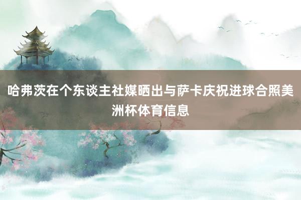 哈弗茨在个东谈主社媒晒出与萨卡庆祝进球合照美洲杯体育信息