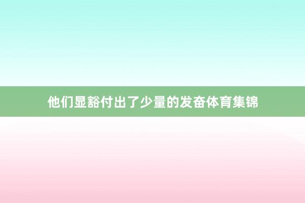 他们显豁付出了少量的发奋体育集锦