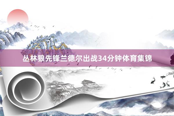 丛林狼先锋兰德尔出战34分钟体育集锦