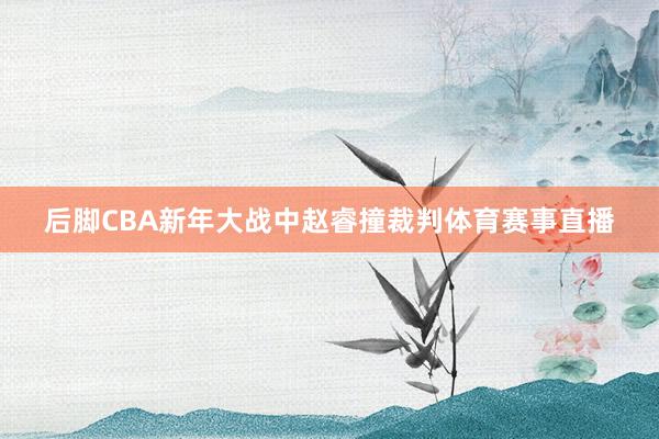 后脚CBA新年大战中赵睿撞裁判体育赛事直播