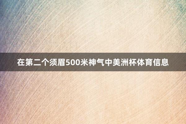 在第二个须眉500米神气中美洲杯体育信息