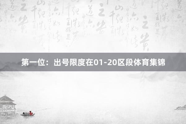 第一位：出号限度在01-20区段体育集锦