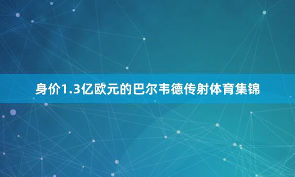 身价1.3亿欧元的巴尔韦德传射体育集锦
