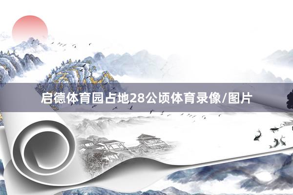 启德体育园占地28公顷体育录像/图片