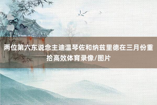 两位第六东说念主迪温琴佐和纳兹里德在三月份重拾高效体育录像/图片