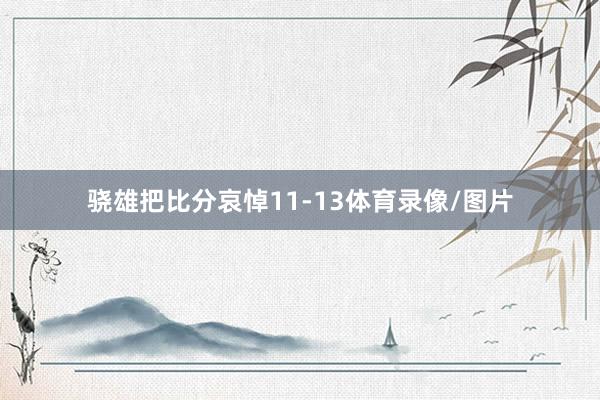 骁雄把比分哀悼11-13体育录像/图片