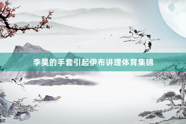 李昊的手套引起伊布讲理体育集锦